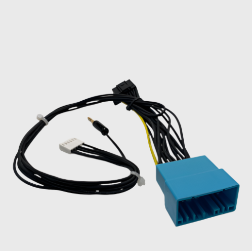 PowerAcoustik DCI Kit